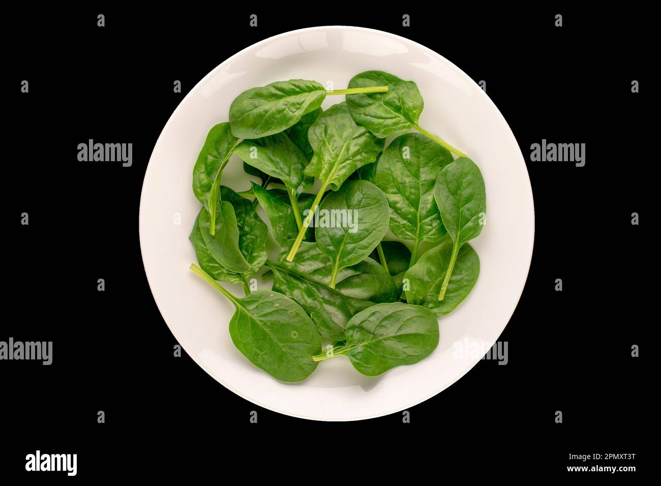 Fresh green spinach leaves in white plate isolated on black background, macro, top view Stock