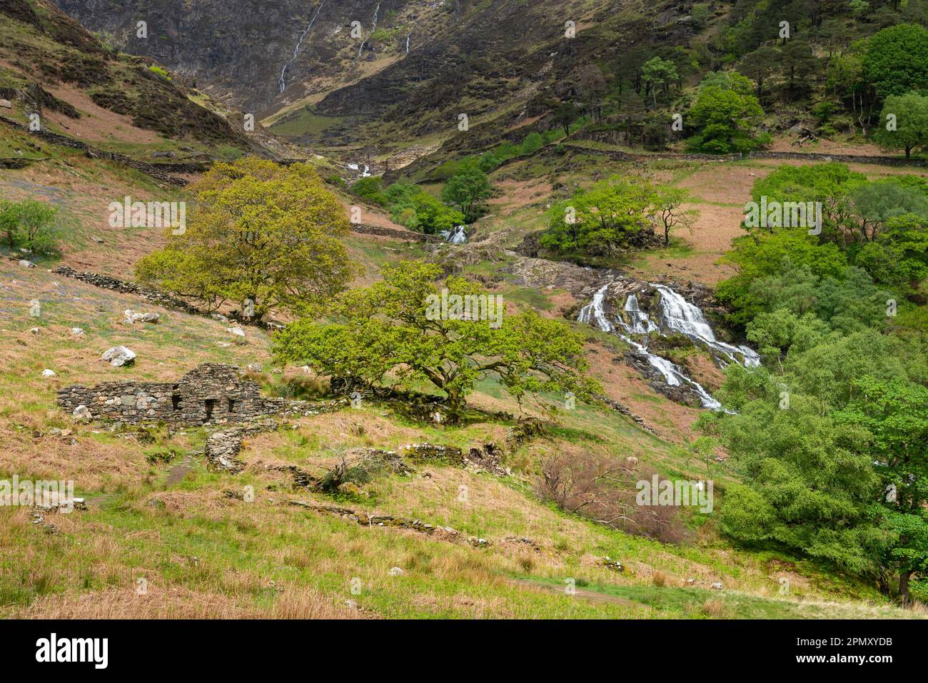 Waterfalls by the Watkin Path in Cwm Llan, Gwynedd, Snowdonia, North Wales. Stock Photo