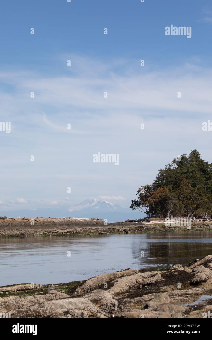 A pond surrounded by rock with a tree in the horizon, Cabbage Island Marine Park, British