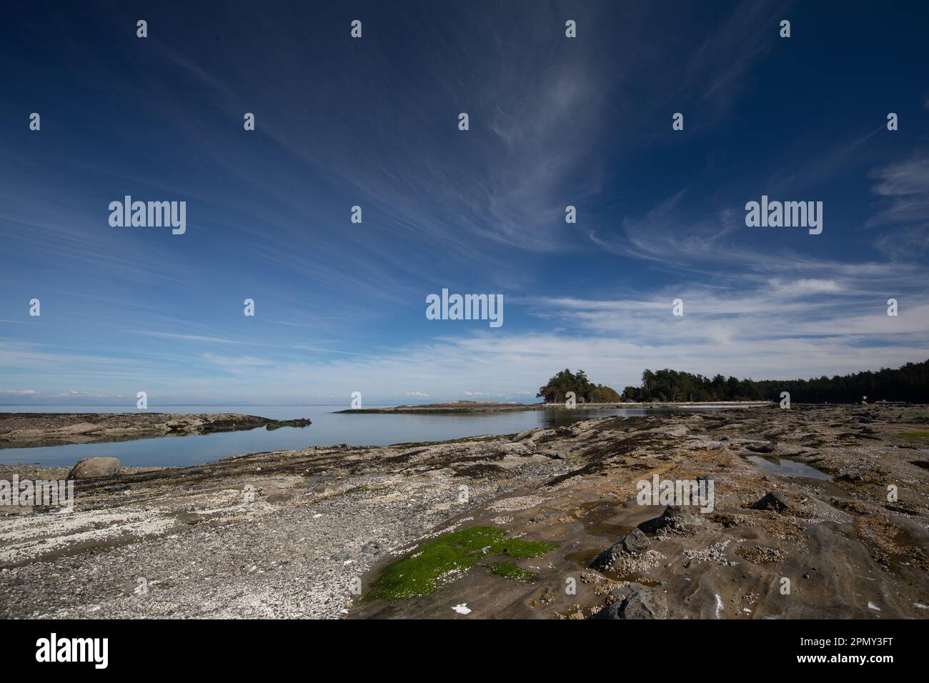 A pond surrounded by rock with a tree in the horizon, Cabbage Island Marine Park, British