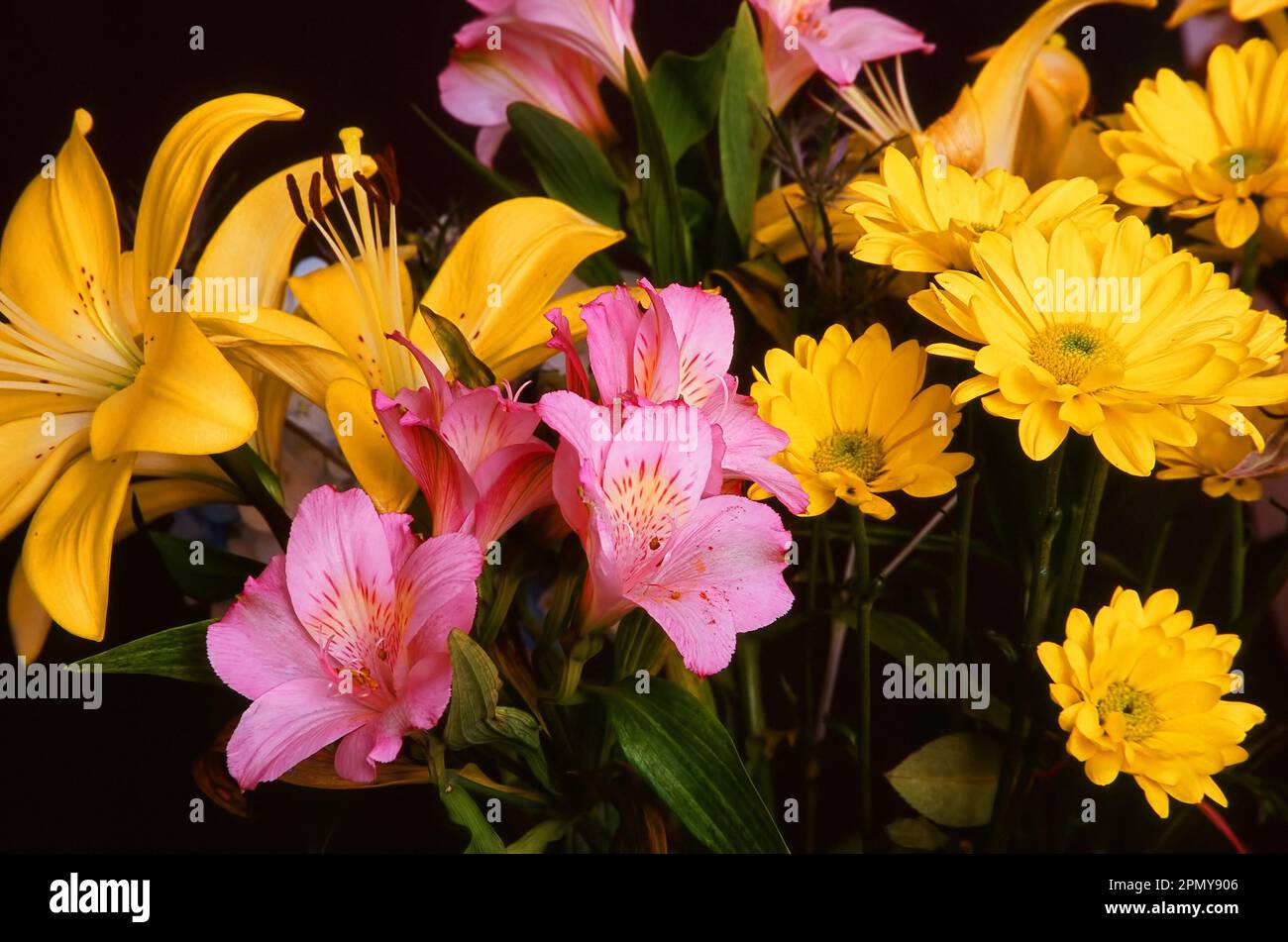 Pink and Yellow Floral Arrangement isolated over a black background
