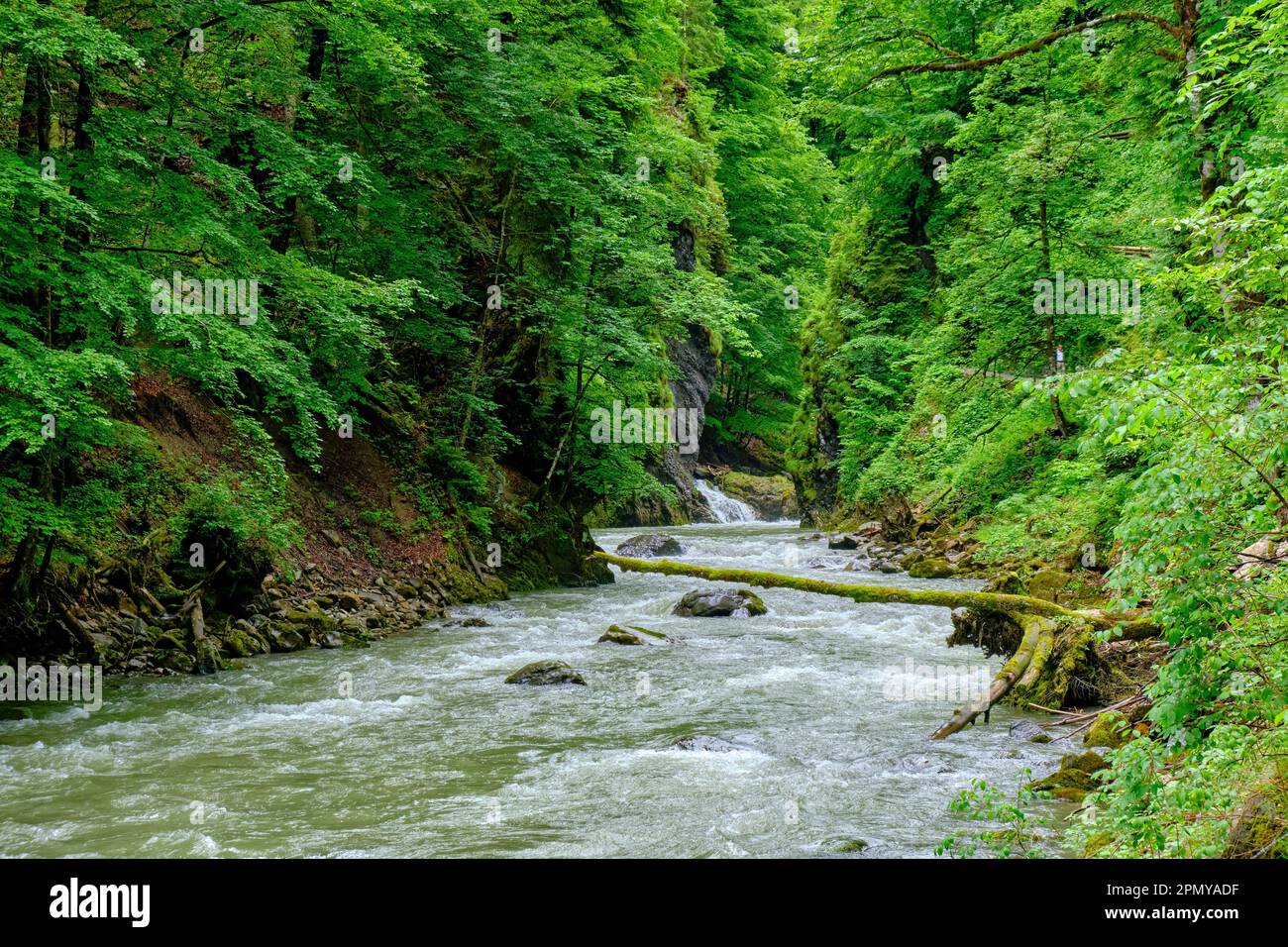 Breitach mountain stream and Breitach the Breitachklamm is a