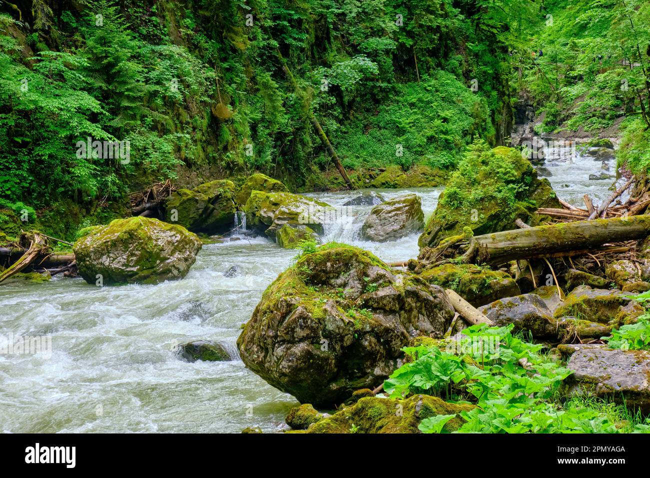 Breitach mountain stream and Breitach the Breitachklamm is a