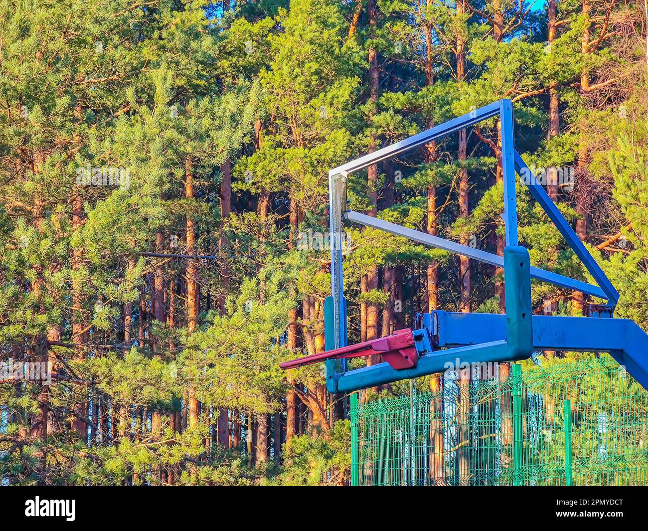 Public outdoor basketball board with rim and net in nature surrounded