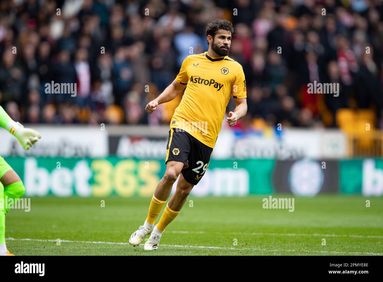 Diego Costa of Wolves during the Premier League match between Wolverhampton Wanderers and Brentford at Molineux, Wolverhampton on Saturday 15th April 2023. (Photo: Gustavo Pantano | MI News) Credit: MI News & Sport /Alamy Live News Stock Photo