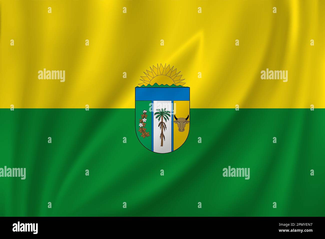 Flag of Vichada waving in the wind on silk background. Department Colombia Stock Vector