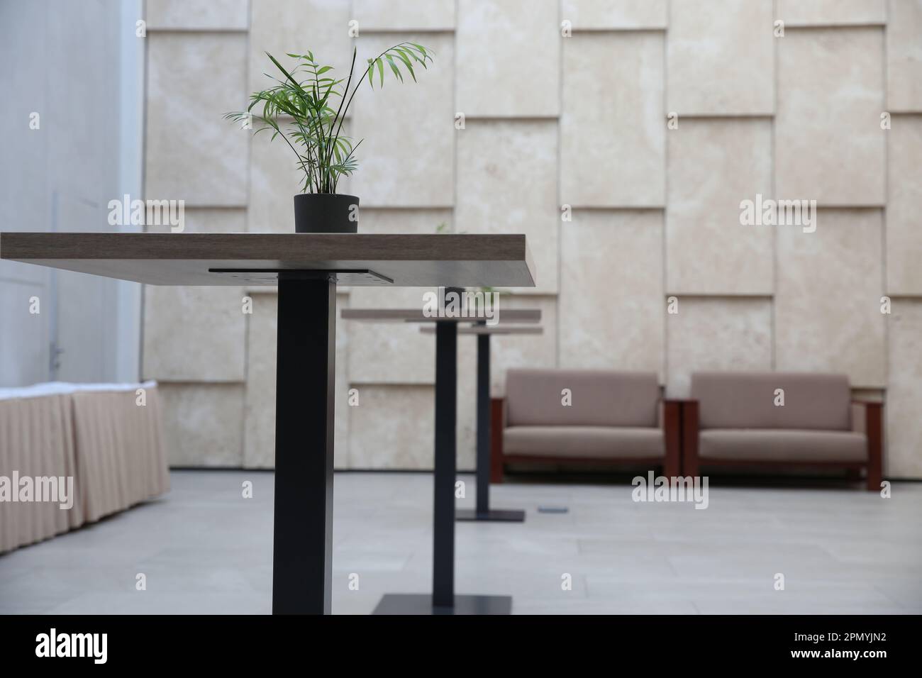 Empty modern hotel welcome lounge with high tables, sofas and indoor plants. In beige colors. Stock Photo