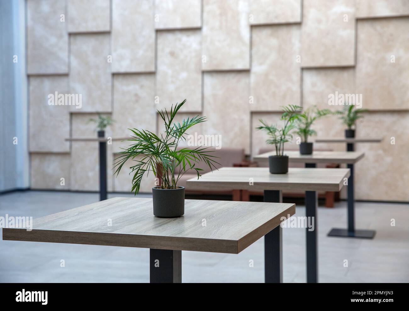 Hotel lobby office plant nobody hi res stock photography and