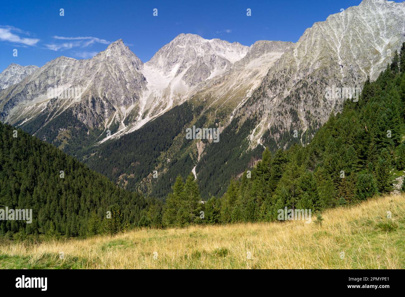 The peaks of the Vedrette di Ries in Val Pusteria Stock Photo - Alamy