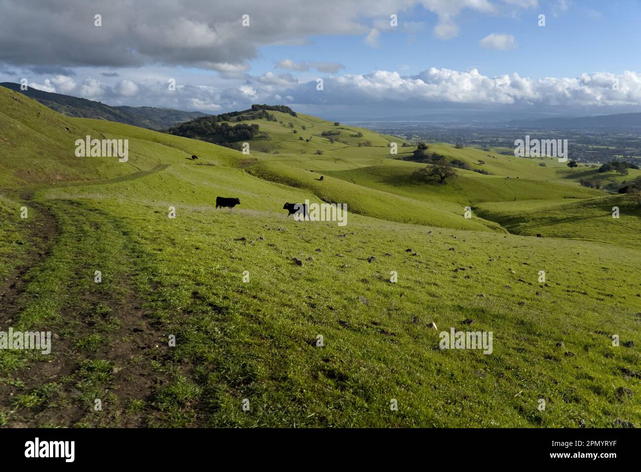 Green rolling hills under cloudy sky Stock Photo - Alamy