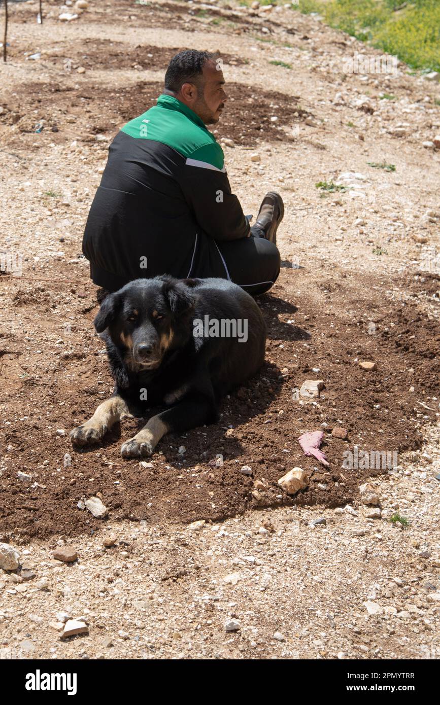 Amman, Jordan 18 march 2023 shepherd with his dog Stock Photo Alamy