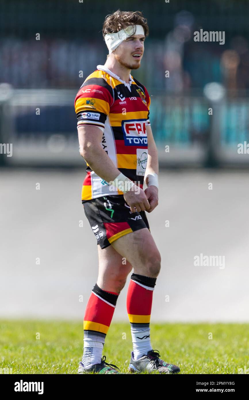 15th April 2023; Carmarthen Park, Carmarthen, Wales: Indigo Premiership Rugby, Carmarthen Quins versus Cardiff; Carmarthen Quin's scrum half Rhodri Davies (9) in action. Credit: Action Plus Sports Images/Alamy Live News Stock Photo