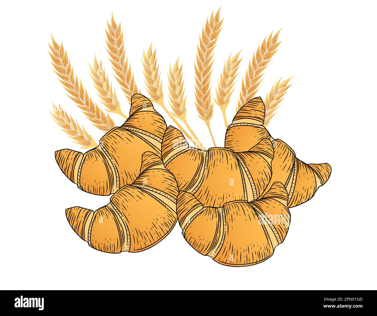 Outline sketch of fresh tasty croissant vector illustration on white ...