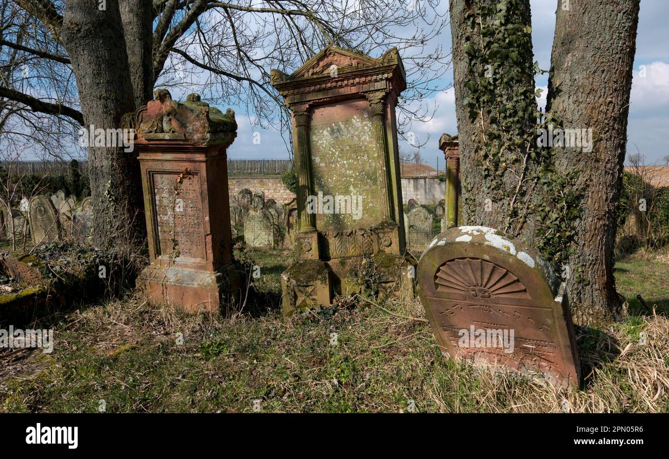 Old Jewish cemetery, Essingen, Southern Palatinate, Palatinate, Rhineland-Palatinate, Germany Stock Photo