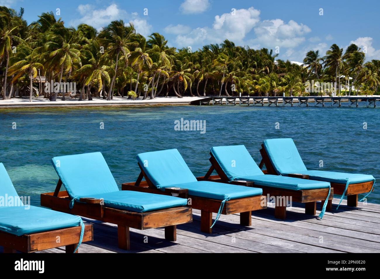 A row of blue beach chairs, facing the sea, with the beach and palm trees in the background in San Pedro, Ambergris Caye, Belize, Caribbean. Stock Photo