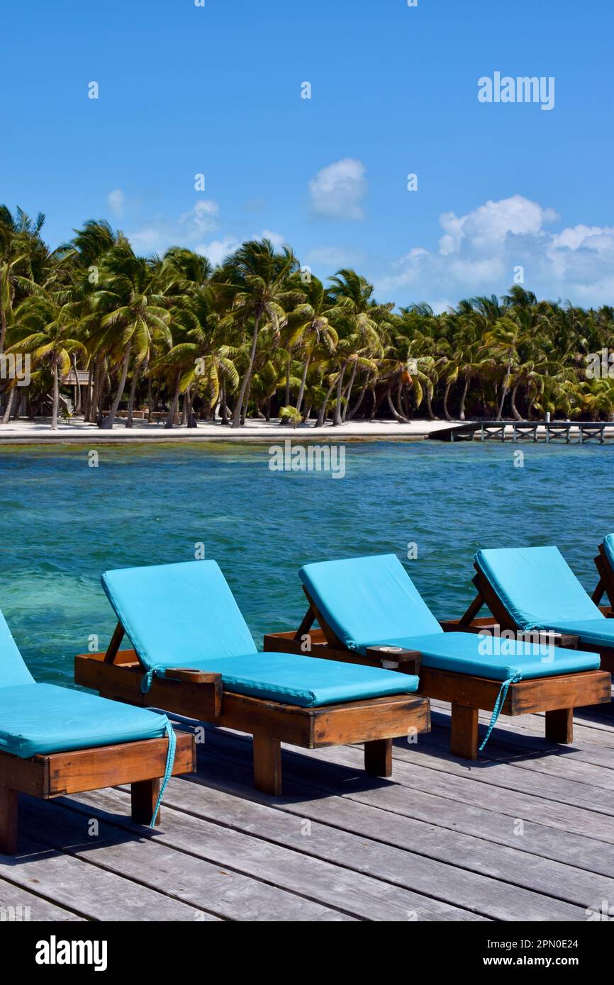 A row of blue beach chairs, facing the sea, with the beach and palm trees in the background in San Pedro, Ambergris Caye, Belize, Caribbean. Stock Photo