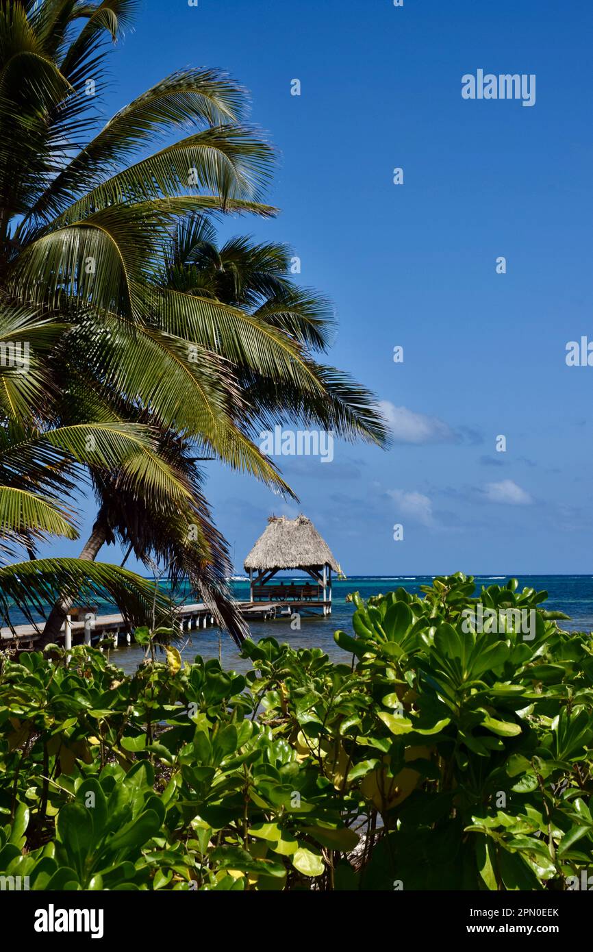 A palapa on a dock on a clear, sunny day at the beach in San Pedro, Ambergris Caye, Belize, Caribbean/Central America. Stock Photo