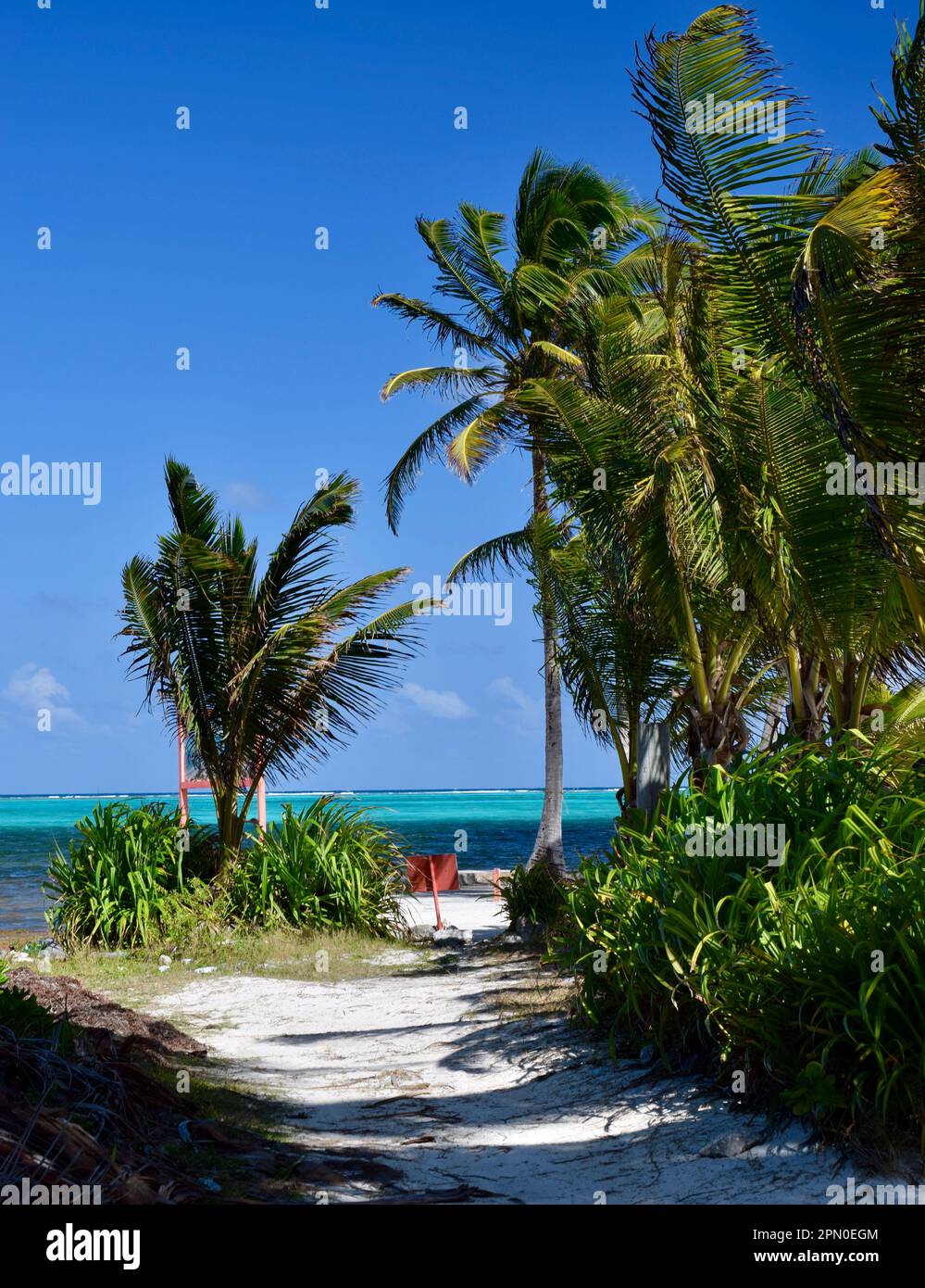 A sandy path leading to the beach and clear, turquoise water on Ambergris Caye, Belize, Caribbean/Central America. Stock Photo
