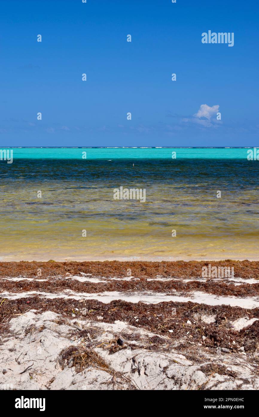 A vertical shot of clear water of various hues of blue along the beach on Ambergris Caye, Belize, Caribbean/Central America. Stock Photo