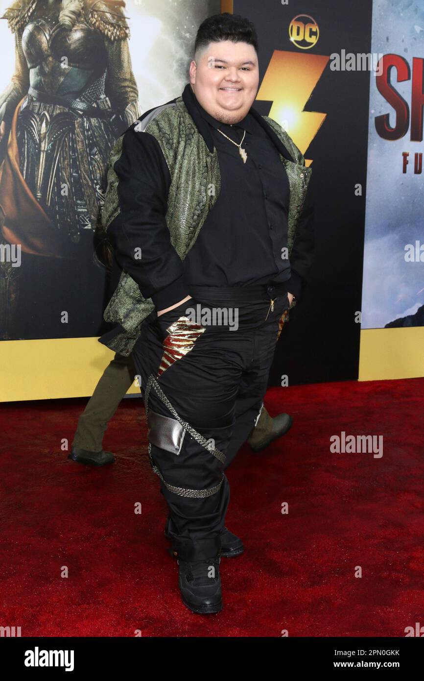 Shazam! Fury Of The Gods Los Angeles Premiere at the Village Theater on March 14, 2023 in Westwood, CA Featuring: Jovan Armand Where: Westwood, California, United States When: 14 Mar 2023 Credit: Nicky Nelson/WENN Stock Photo