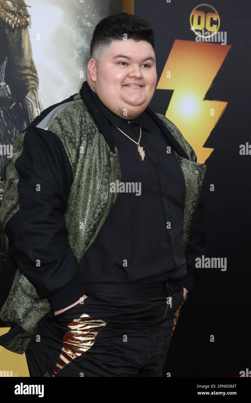 Shazam! Fury Of The Gods Los Angeles Premiere at the Village Theater on March 14, 2023 in Westwood, CA Featuring: Jovan Armand Where: Westwood, California, United States When: 14 Mar 2023 Credit: Nicky Nelson/WENN Stock Photo