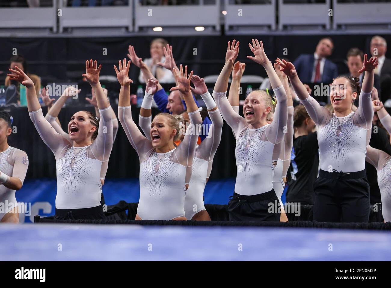 Fort Worth, TX, USA. 15th Apr, 2023. The Florida Gators cheer on a