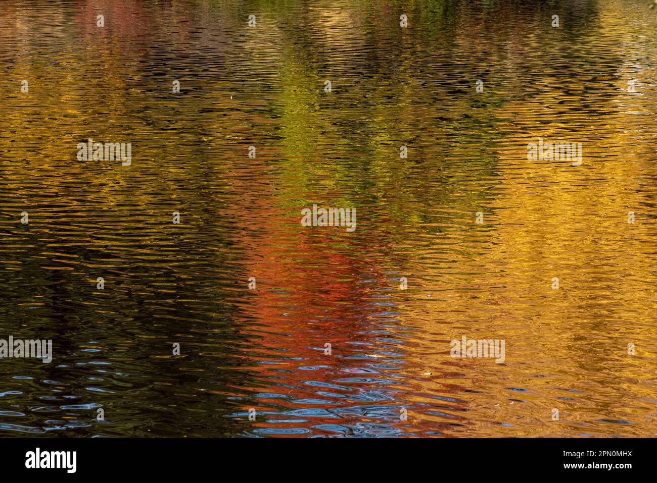 Abstract fall composition featuring the reflection of fall foliage on a lake- large background and backdrop copy space Stock Photo