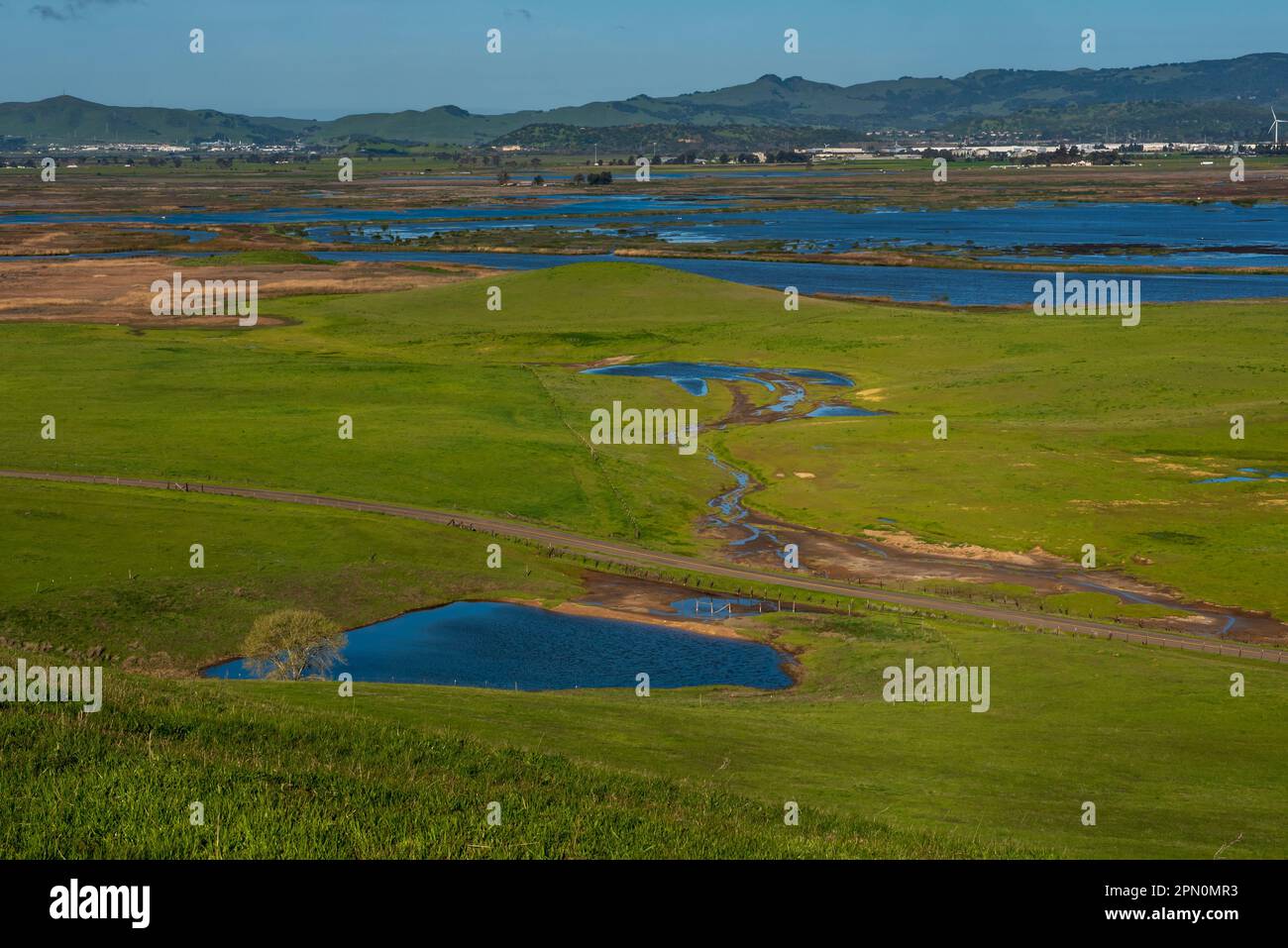 Pastoral scene of  green fields in Fairfield, California, open space on a clear sky day rainy day featuring a very green pasture, a vernal pool and th Stock Photo