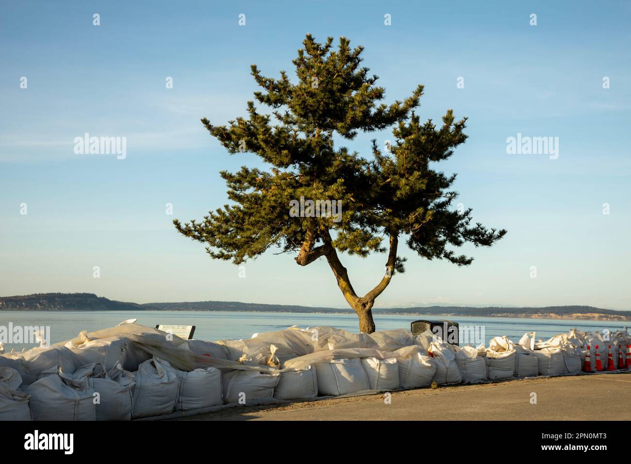 WA23332-00...WASHINGTON - Sand bags protecting the road to Point No Point Lighthouse from erosion during winter storms. Stock Photo