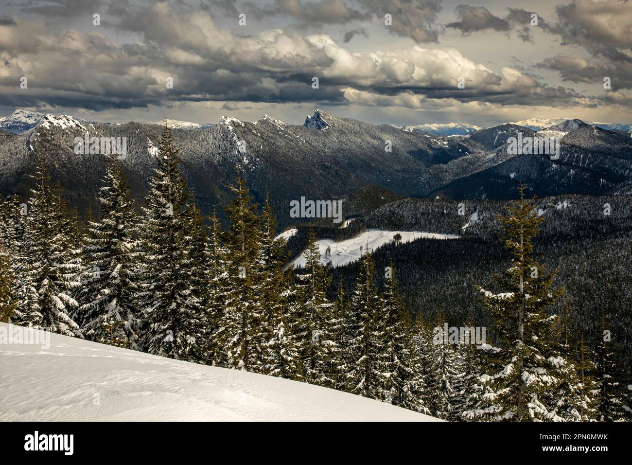 WA23349-00...WASHINGTON - View of High Rock Lookout from High Hut in the Mount Tahoma Trails near Mount Rainier. Stock Photo