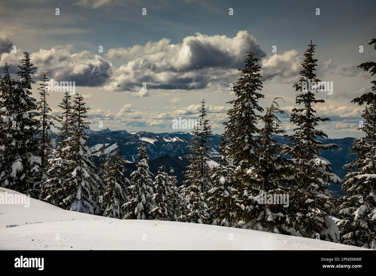 WA23349-00...WASHINGTON - View of snow covered hills from High Hut in the Mount Tahoma Trails near Mount Rainier. Stock Photo