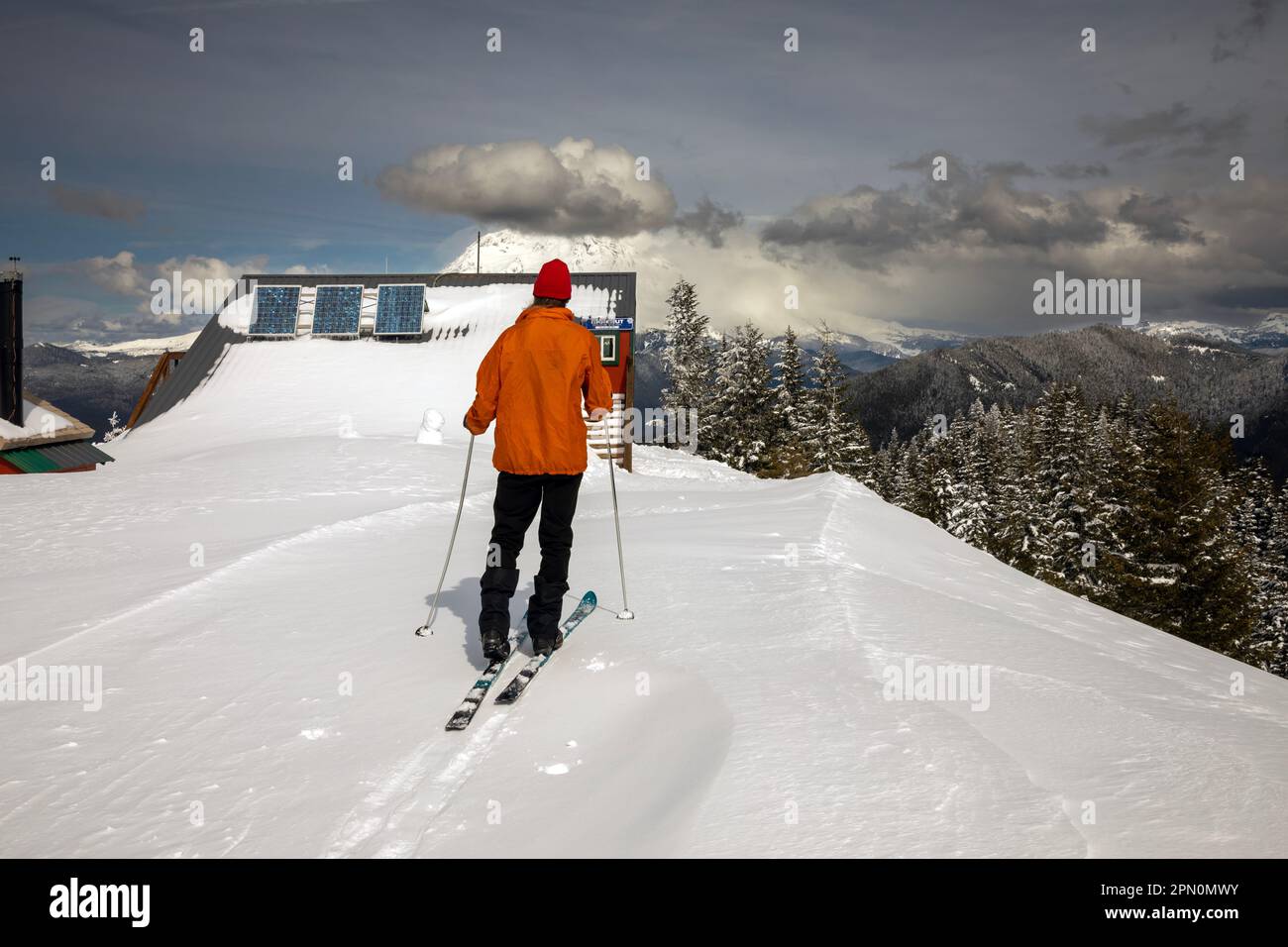 WA23351-00...WASHINGTON - Cross-country skier arriving at High Hut in the Mount Tahoma Trails Association South Unit groomed trails area. Stock Photo