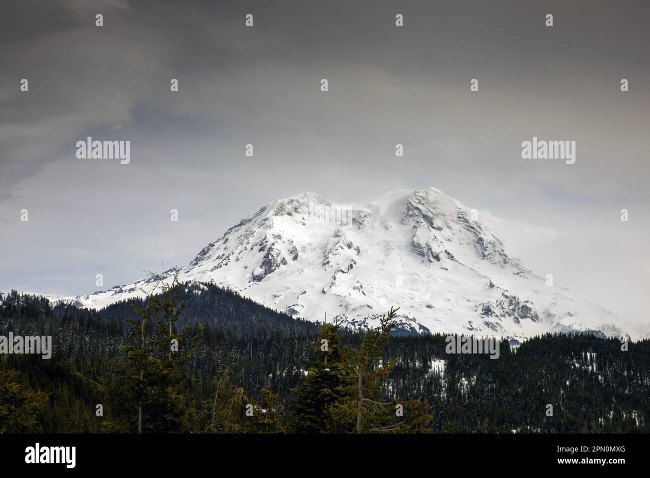 WA23352-00...WASHINGTON  - Mount Rainier viewed from the Mountain Vista Point in the northern unit of the Mount Tahoma Trails. Stock Photo