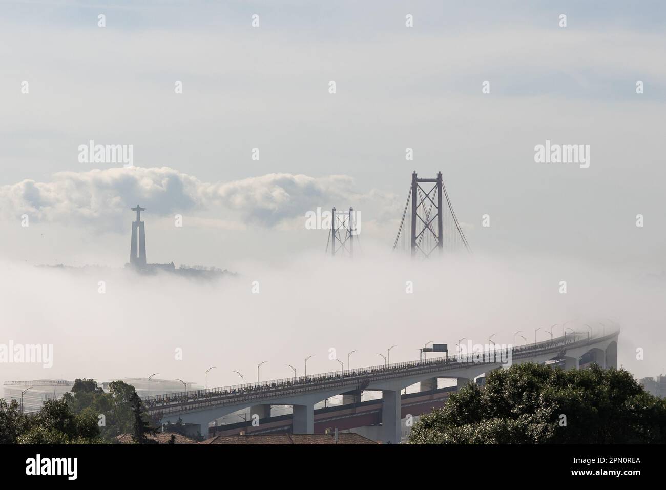 Dense white fog envelops landscape hi-res stock photography and images ...