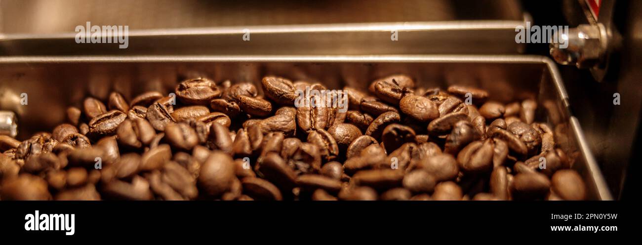Freshly roasted arabica coffee beans in container Stock Photo - Alamy