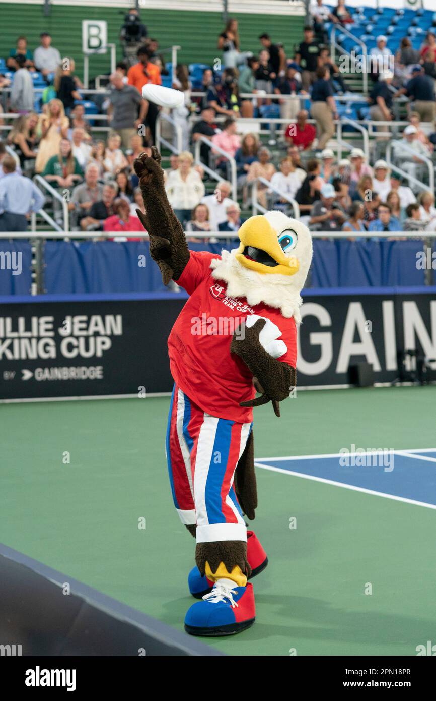DELRAY BEACH, FL - APRIL 14: An American Eagle passes out T-Shirts during  the 2023 Billie Jean King Cup USA vs Austria on April 14, 2023, at the  Delray Beach Stadium &