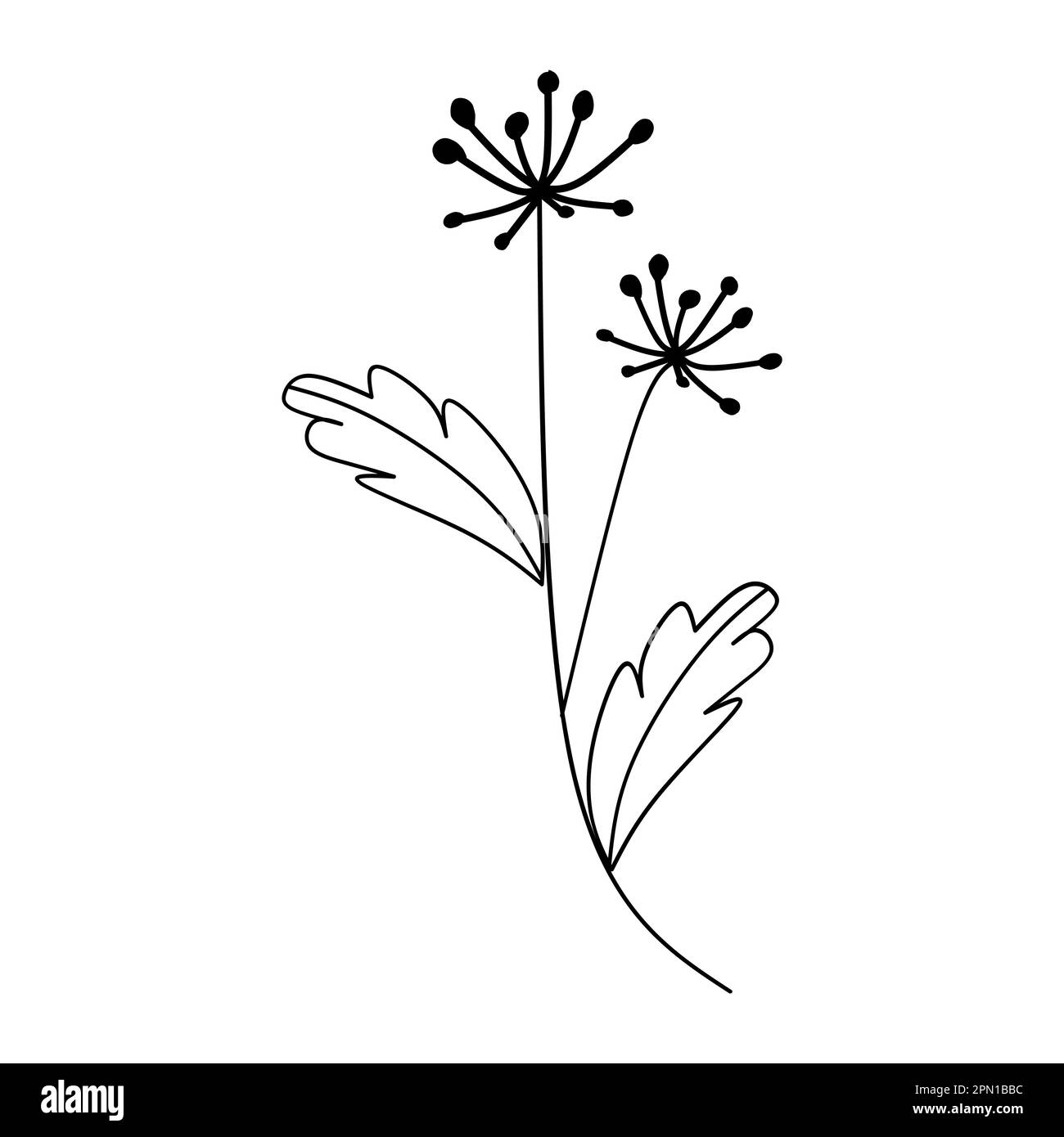 Cute flower botanical floral vector illustration outline hand drawn style design Stock Vector