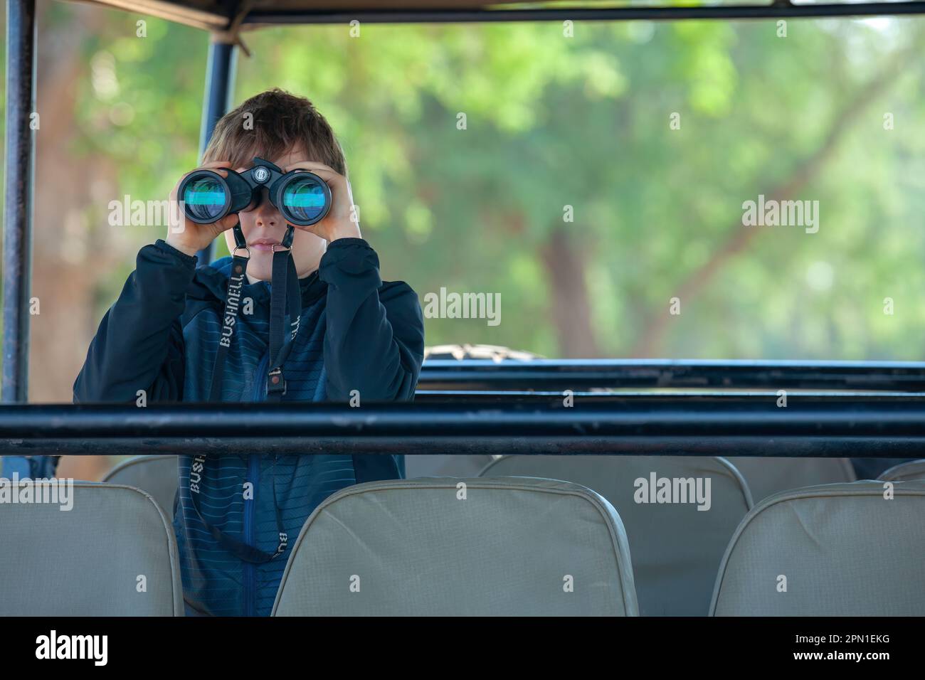 Boy looking through binoculars on a game drive Stock Photo