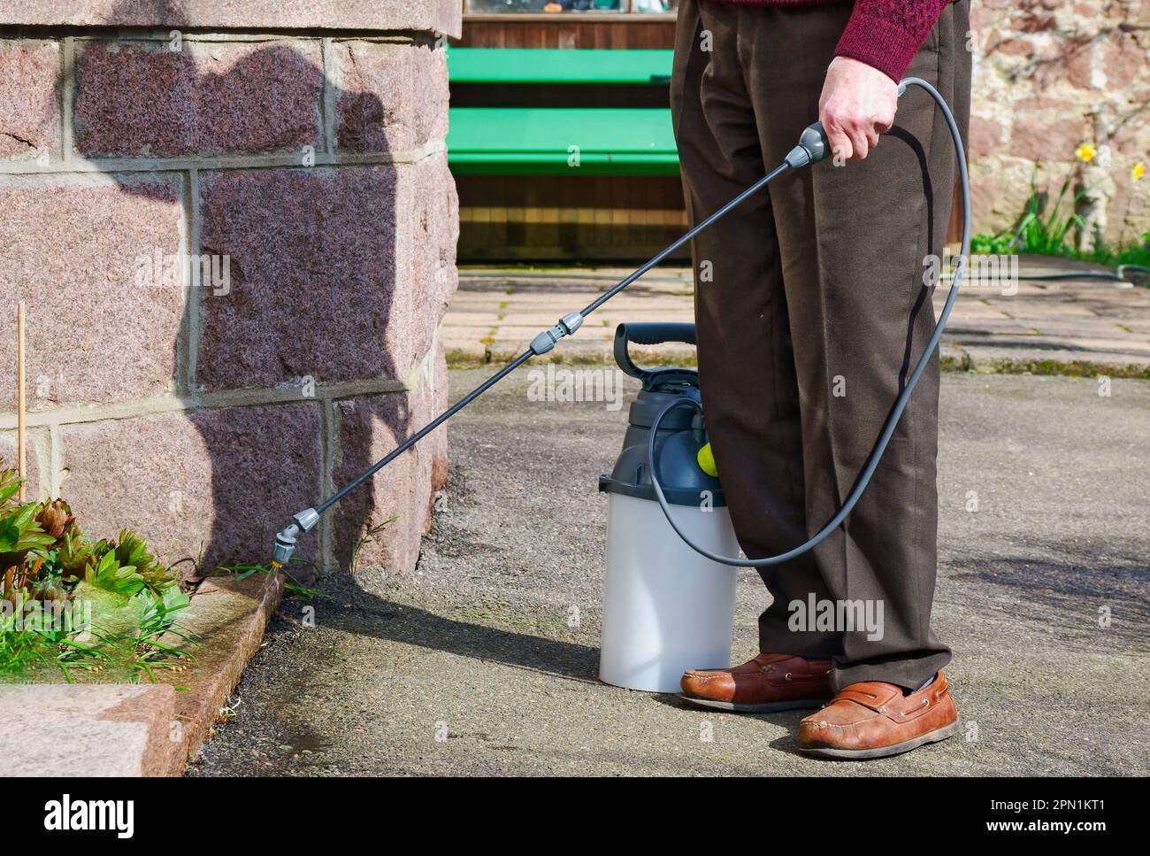 Weed killer spray using pump action bottle in garden Stock Photo Alamy