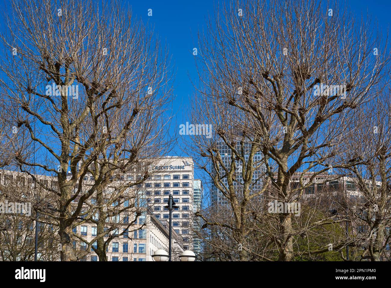 The Credit Suisse building through the trees at Canary Wharf on the Isle of Dogs, East London UK Stock Photo