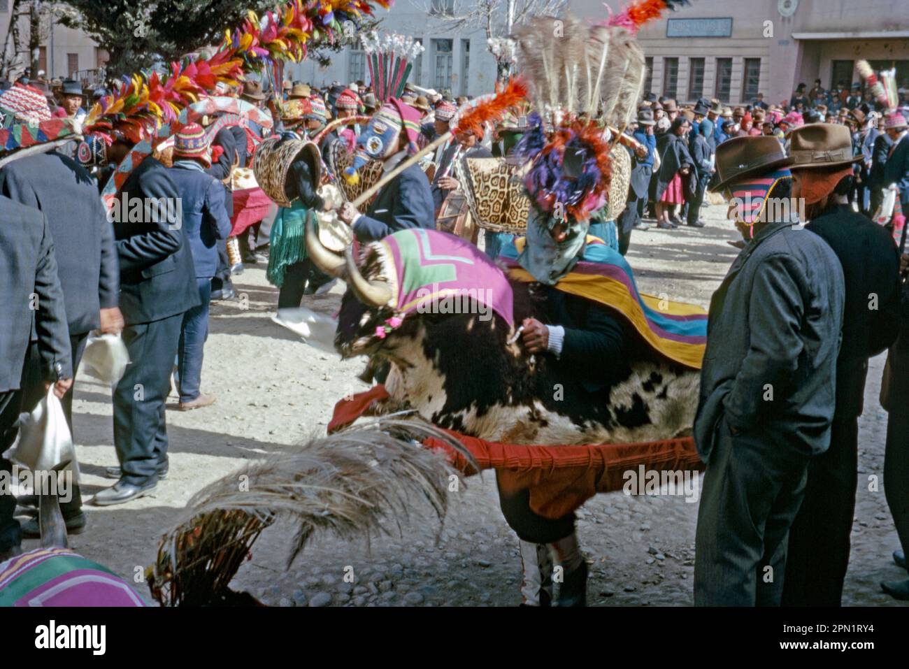 A festival in the streets of Achacachi, Bolivia in 1968. Colourful festivals and carnivals play a large part in Bolivian cultural life – many are related to religious beliefs and ancient customs. Here a man (centre) is dressed up as a bull. Achacachi is a town on the Altiplano plateau in the South American Andes and existed before the arrival of the Spaniards – a vintage 1960s photograph. Stock Photo