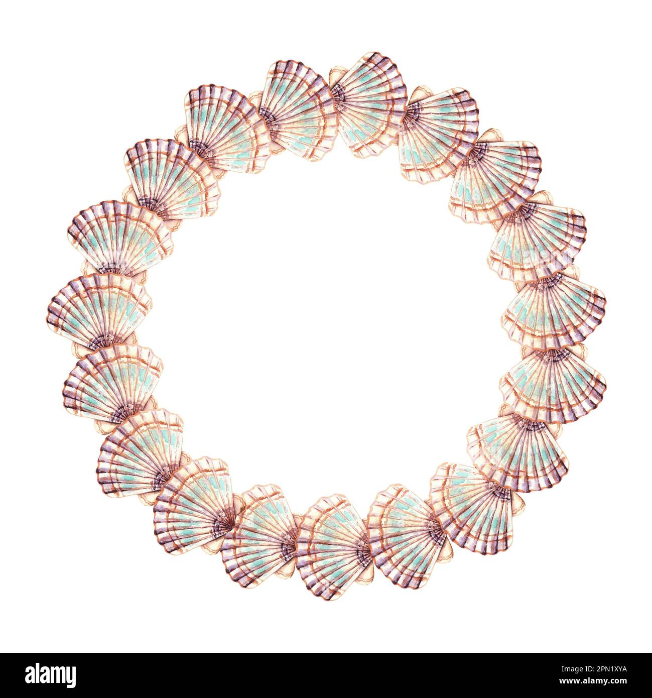 A wreath of shells. Marine composition. Frame. Watercolor illustration ...