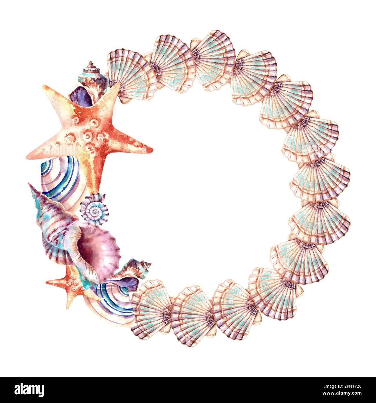 A wreath of shells and a starfish. Marine composition. Frame ...