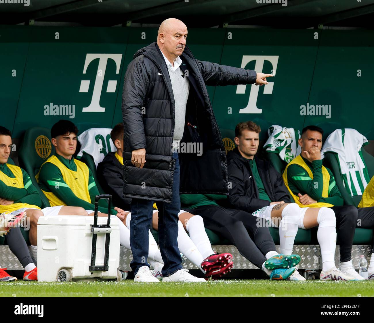 Amer Gojak of Ferencvarosi TC controls the ball during the Hungarian  News Photo - Getty Images