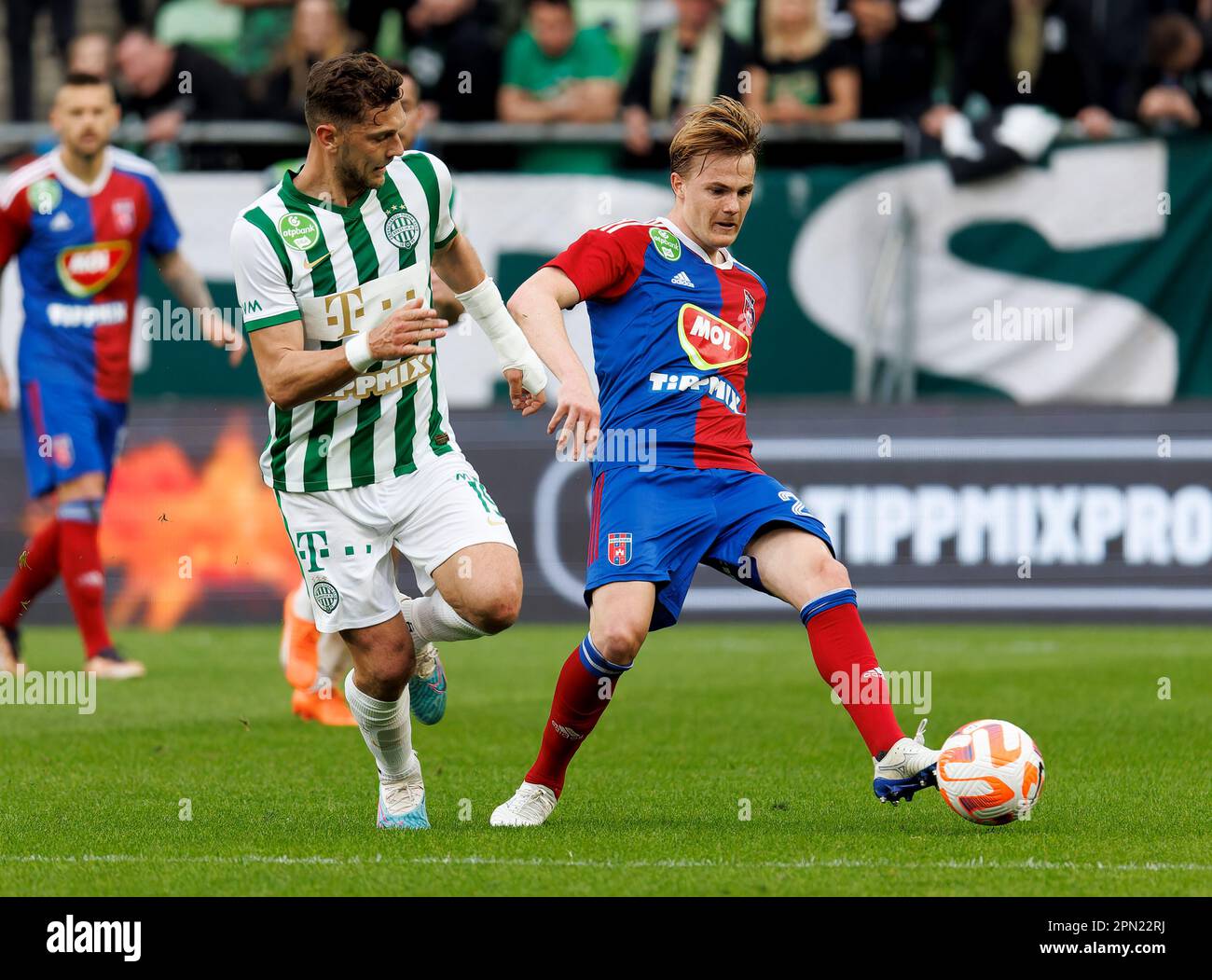 BUDAPEST, HUNGARY - APRIL 2: Balint Vecsei of Ferencvarosi TC