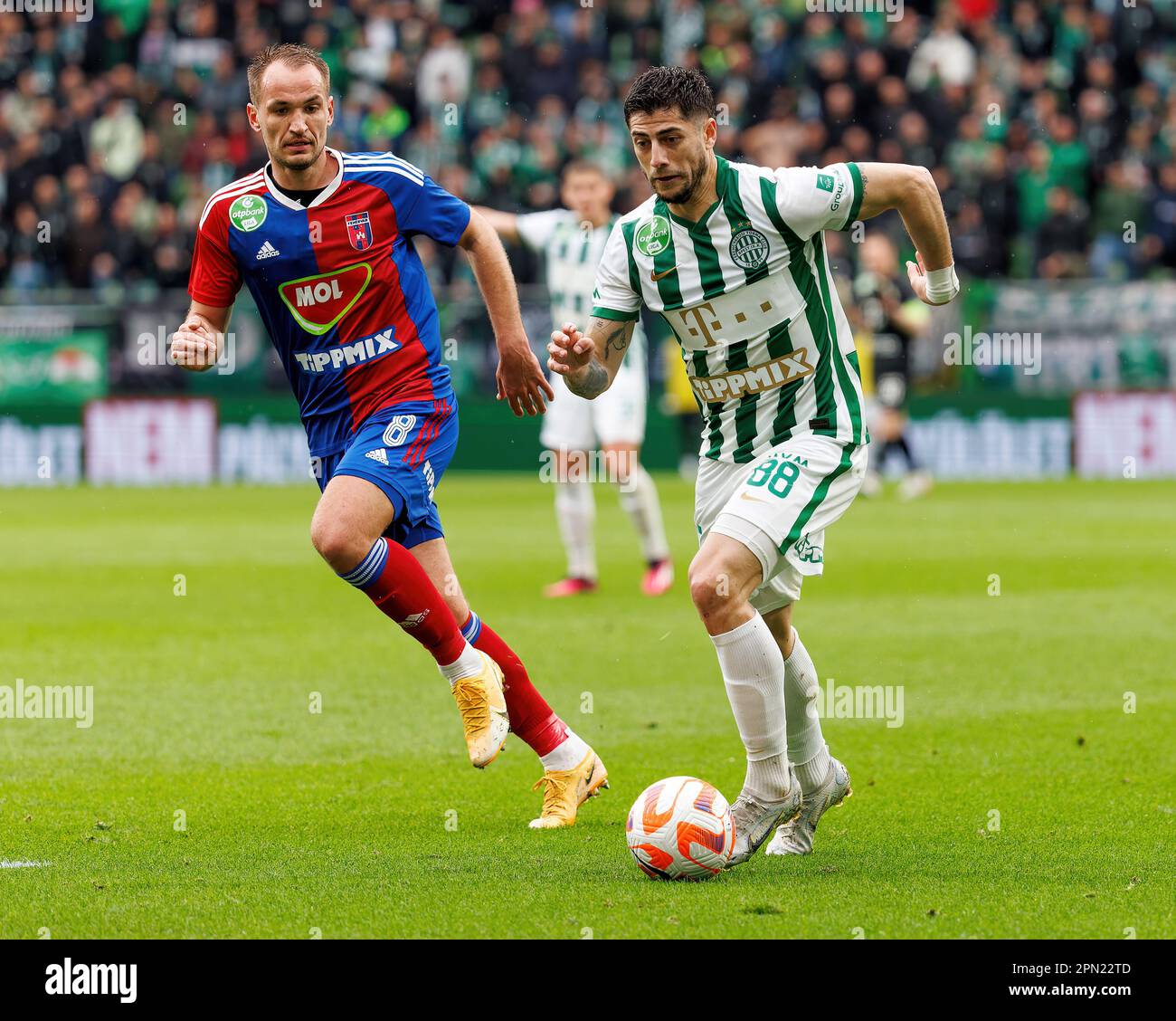 Krisztian Lisztes of Ferencvarosi TC celebrates with teammates after  scoring a goal during the Hungarian OTP Bank Liga match between Ferencvarosi  TC and MOL Fehervar FC at Groupama Arena on April 2, 2023 in Budapest,  Hungary Stock Photo - Alamy