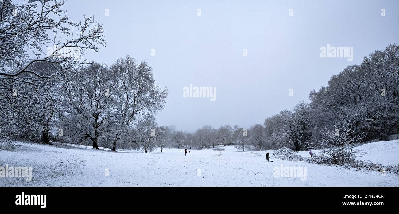 Malvern Link common snow day Stock Photo