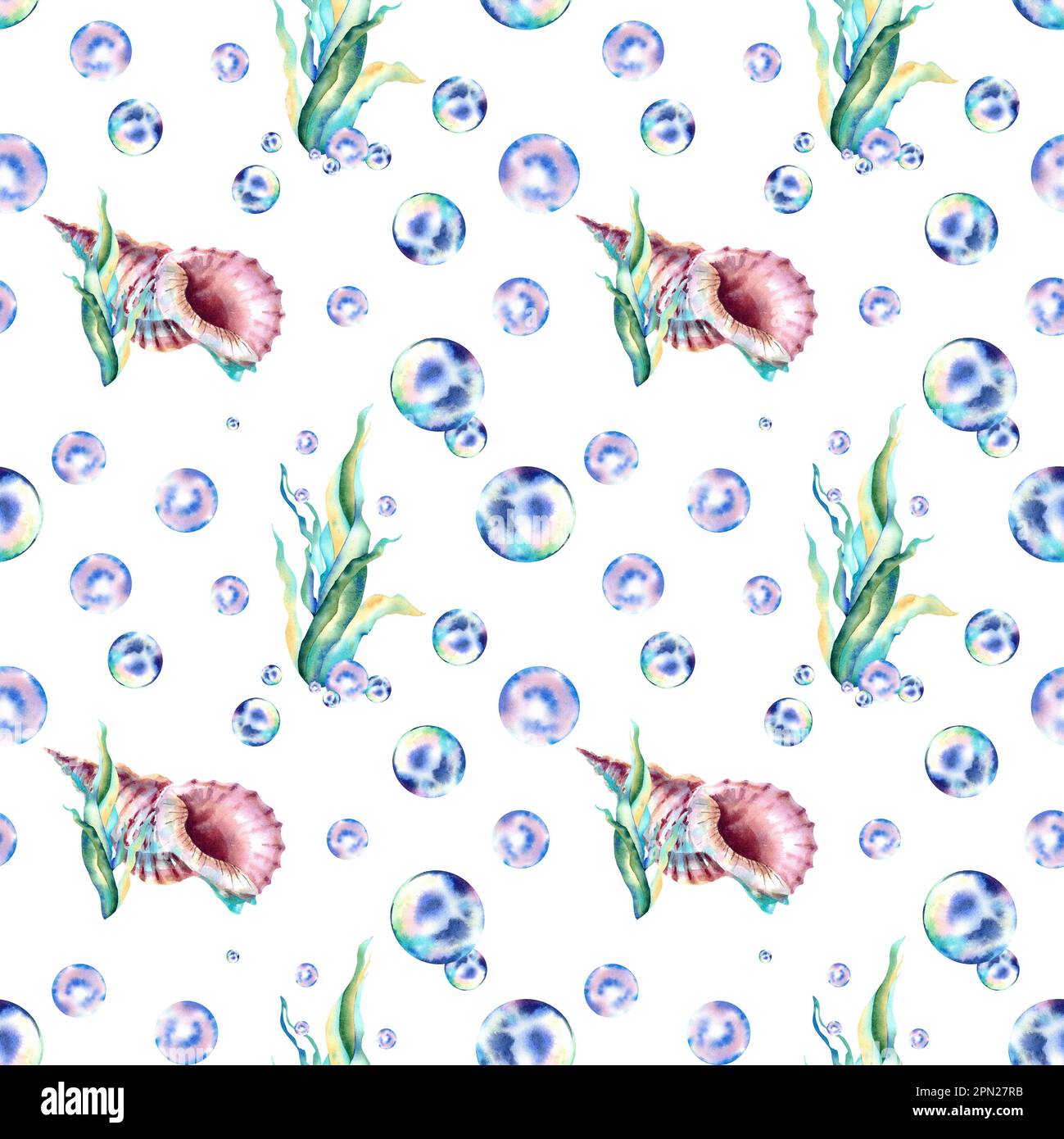 A pattern of algae, seashells and bubbles. Watercolor illustration ...