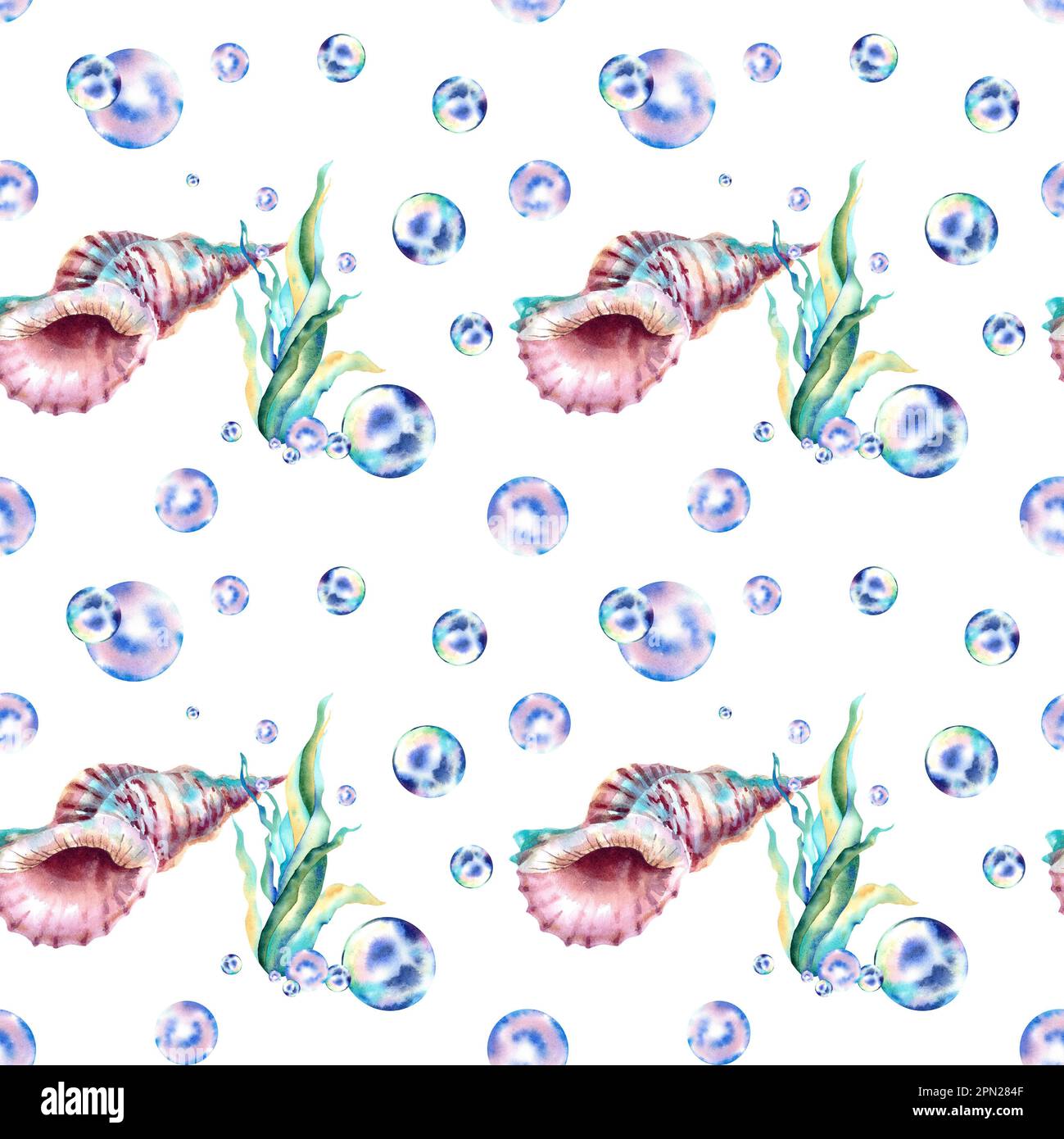 A pattern of algae, seashells and bubbles. Watercolor illustration ...