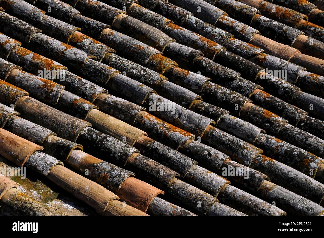 Lichen spots pale orange traditional terracotta pantiles stepped in